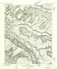 White Canyon 4 NW Utah Historical topographic map, 1:24000 scale, 7.5 X 7.5 Minute, Year 1954