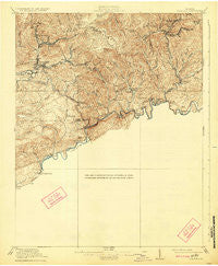 Coeburn Virginia Historical topographic map, 1:62500 scale, 15 X 15 Minute, Year 1920