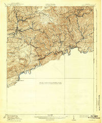 Coeburn Virginia Historical topographic map, 1:62500 scale, 15 X 15 Minute, Year 1920