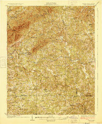 Critz Virginia Historical topographic map, 1:62500 scale, 15 X 15 Minute, Year 1928