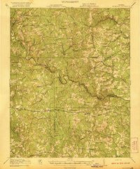 Mc Kenney Virginia Historical topographic map, 1:62500 scale, 15 X 15 Minute, Year 1921