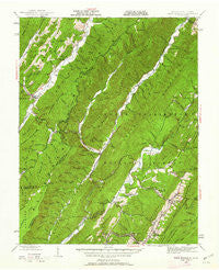 Warm Springs Virginia Historical topographic map, 1:62500 scale, 15 X 15 Minute, Year 1946