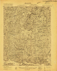 White Plains Virginia Historical topographic map, 1:48000 scale, 15 X 15 Minute, Year 1919