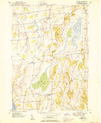 Bridport Vermont Historical topographic map, 1:24000 scale, 7.5 X 7.5 Minute, Year 1950