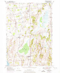 Bridport Vermont Historical topographic map, 1:24000 scale, 7.5 X 7.5 Minute, Year 1949