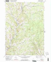 Chelsea Vermont Historical topographic map, 1:24000 scale, 7.5 X 7.5 Minute, Year 1981