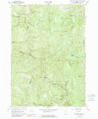Delectable Mountain Vermont Historical topographic map, 1:24000 scale, 7.5 X 7.5 Minute, Year 1966