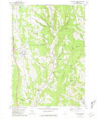Randolph Center Vermont Historical topographic map, 1:24000 scale, 7.5 X 7.5 Minute, Year 1981