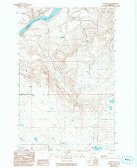 Alameda Flat Washington Historical topographic map, 1:24000 scale, 7.5 X 7.5 Minute, Year 1989