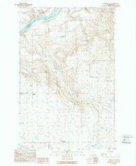 Alameda Flat Washington Historical topographic map, 1:24000 scale, 7.5 X 7.5 Minute, Year 1989