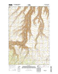 Anatone Washington Current topographic map, 1:24000 scale, 7.5 X 7.5 Minute, Year 2014