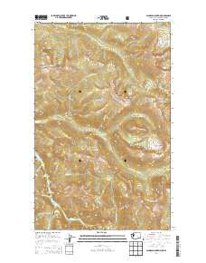 Ashnola Mountain Washington Current topographic map, 1:24000 scale, 7.5 X 7.5 Minute, Year 2014