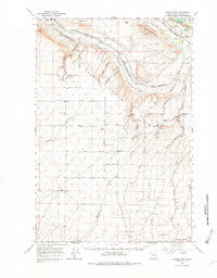 Badger Mtn Washington Historical topographic map, 1:62500 scale, 15 X 15 Minute, Year 1965