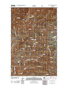 Baldy Mountain Washington Historical topographic map, 1:24000 scale, 7.5 X 7.5 Minute, Year 2011