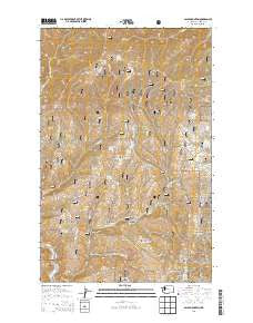 Baldy Mountain Washington Current topographic map, 1:24000 scale, 7.5 X 7.5 Minute, Year 2014