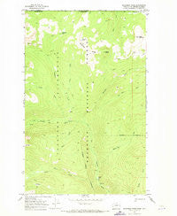 Bauerman Ridge Washington Historical topographic map, 1:24000 scale, 7.5 X 7.5 Minute, Year 1969
