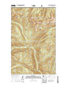 Bauerman Ridge Washington Current topographic map, 1:24000 scale, 7.5 X 7.5 Minute, Year 2014