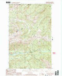 Bearpaw Mountain Washington Historical topographic map, 1:24000 scale, 7.5 X 7.5 Minute, Year 1989