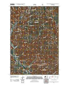 Big Huckleberry Mountain Washington Historical topographic map, 1:24000 scale, 7.5 X 7.5 Minute, Year 2011