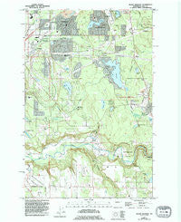 Black Diamond Washington Historical topographic map, 1:24000 scale, 7.5 X 7.5 Minute, Year 1949