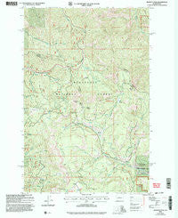 Blewett Pass Washington Historical topographic map, 1:24000 scale, 7.5 X 7.5 Minute, Year 2003