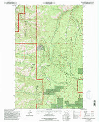 Bodie Mountain Washington Historical topographic map, 1:24000 scale, 7.5 X 7.5 Minute, Year 1992