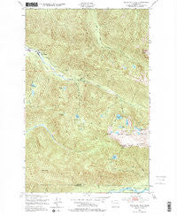 Bogachiel Peak Washington Historical topographic map, 1:24000 scale, 7.5 X 7.5 Minute, Year 1950