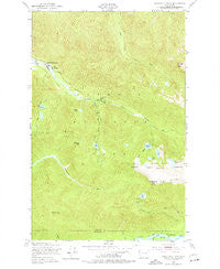 Bogachiel Peak Washington Historical topographic map, 1:24000 scale, 7.5 X 7.5 Minute, Year 1950