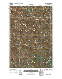 Boistfort Peak Washington Historical topographic map, 1:24000 scale, 7.5 X 7.5 Minute, Year 2011