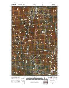 Buck Mountain Washington Historical topographic map, 1:24000 scale, 7.5 X 7.5 Minute, Year 2011