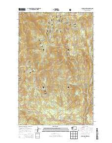 Buck Mountain Washington Current topographic map, 1:24000 scale, 7.5 X 7.5 Minute, Year 2014