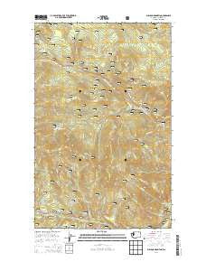 Bulldog Mountain Washington Current topographic map, 1:24000 scale, 7.5 X 7.5 Minute, Year 2014
