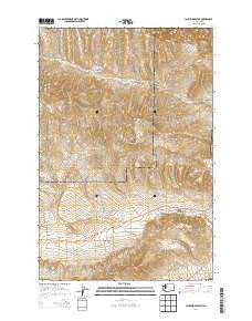 Cairn Hope Peak Washington Current topographic map, 1:24000 scale, 7.5 X 7.5 Minute, Year 2014