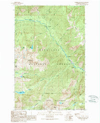 Cashmere Mountain Washington Historical topographic map, 1:24000 scale, 7.5 X 7.5 Minute, Year 1989