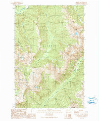 Chimney Peak Washington Historical topographic map, 1:24000 scale, 7.5 X 7.5 Minute, Year 1990