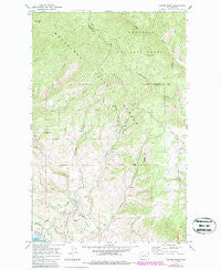 Cooper Ridge Washington Historical topographic map, 1:24000 scale, 7.5 X 7.5 Minute, Year 1968
