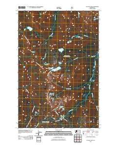 Cougar Lake Washington Historical topographic map, 1:24000 scale, 7.5 X 7.5 Minute, Year 2011