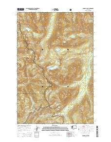 Cougar Lake Washington Current topographic map, 1:24000 scale, 7.5 X 7.5 Minute, Year 2014