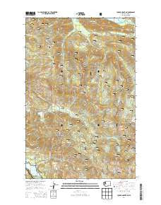 Cougar Mountain Washington Current topographic map, 1:24000 scale, 7.5 X 7.5 Minute, Year 2014