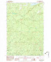 Coyote Mtn Washington Historical topographic map, 1:24000 scale, 7.5 X 7.5 Minute, Year 1983