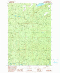 Coyote Mtn Washington Historical topographic map, 1:24000 scale, 7.5 X 7.5 Minute, Year 1983