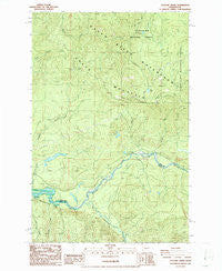 Cyclone Creek Washington Historical topographic map, 1:24000 scale, 7.5 X 7.5 Minute, Year 1986