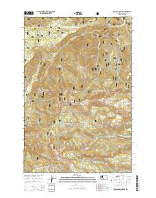 Darland Mountain Washington Current topographic map, 1:24000 scale, 7.5 X 7.5 Minute, Year 2014