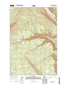 Dead Canyon Washington Current topographic map, 1:24000 scale, 7.5 X 7.5 Minute, Year 2014