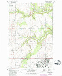 Deep Creek Washington Historical topographic map, 1:24000 scale, 7.5 X 7.5 Minute, Year 1973