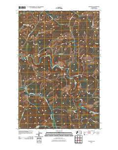 Diamond Washington Historical topographic map, 1:24000 scale, 7.5 X 7.5 Minute, Year 2011