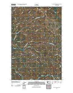 East of Raymond Washington Historical topographic map, 1:24000 scale, 7.5 X 7.5 Minute, Year 2011