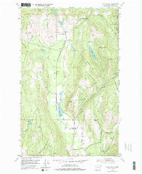 Echo Valley Washington Historical topographic map, 1:24000 scale, 7.5 X 7.5 Minute, Year 1952
