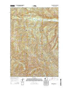 Elk Mountain Washington Current topographic map, 1:24000 scale, 7.5 X 7.5 Minute, Year 2014