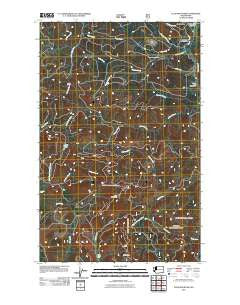 Ellis Mountain Washington Historical topographic map, 1:24000 scale, 7.5 X 7.5 Minute, Year 2011